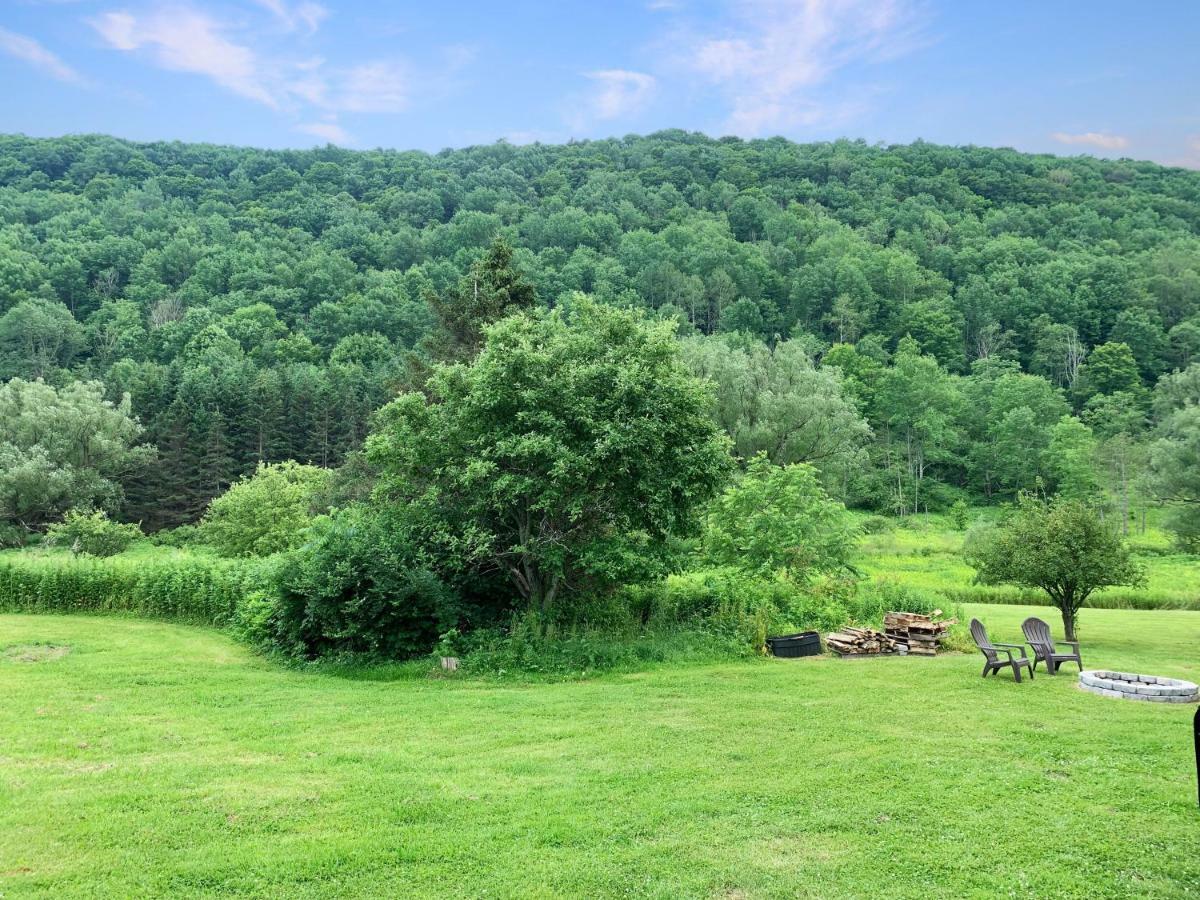 The Maples Apt - King Bed, Pet Friendly, Beautiful Views Ellicottville Exterior photo